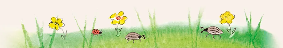Illustration: Maikäfer im hohen Gras mit gelben Blümchen und Marienkäfer